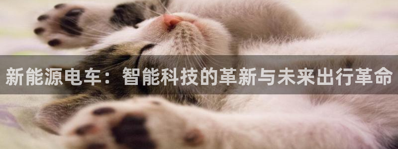 众腾娱乐梦幻演艺店：新能源电车：智能科技