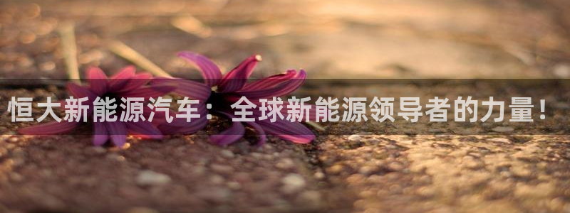 众腾娱乐开户：恒大新能源汽车：全球新能源