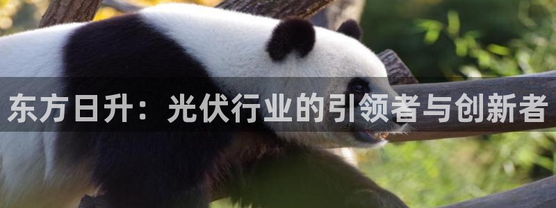 腾讯旗下的腾众娱乐：东方日升：光伏行业的