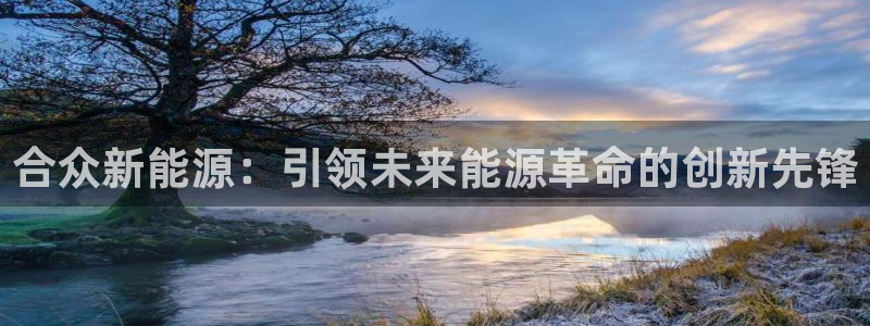 腾耀3娱乐众123：合众新能源：引领未来
