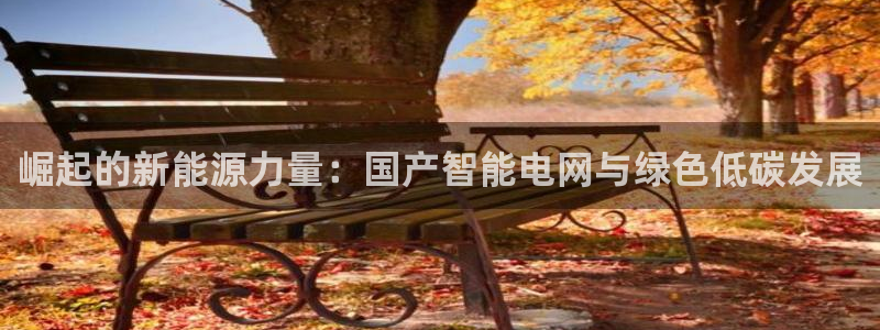 腾众娱乐：崛起的新能源力量：国产智能电网