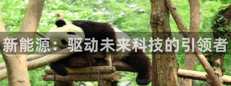 包头众腾娱乐：新能源：驱动未来科技的引领