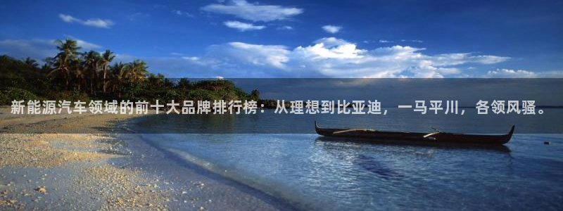 楚雄众腾娱乐在哪里：新能源汽车领域的前十