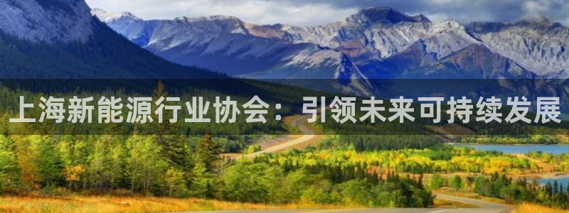 众腾娱乐平台下载：上海新能源行业协会：引