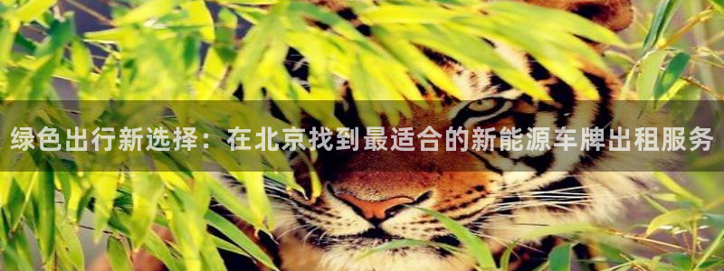 腾耀娱乐29999出众：绿色出行新选择：