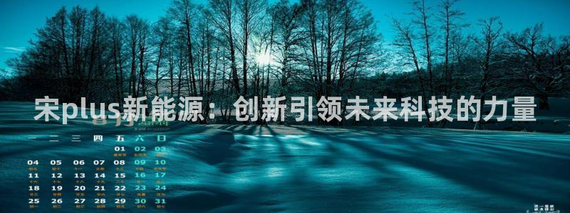 楚雄众腾娱乐在哪里：宋plus新能源：创