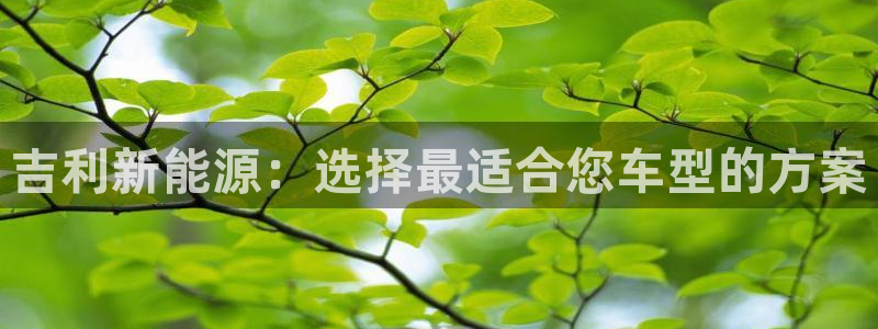 彝族自治州众腾娱乐：吉利新能源：选择最适