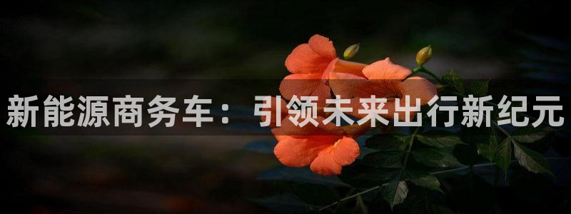 腾耀3娱乐众推8 28：新能源商务车：引