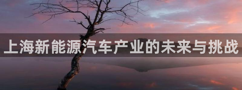 腾众娱乐彩票：上海新能源汽车产业的未来与
