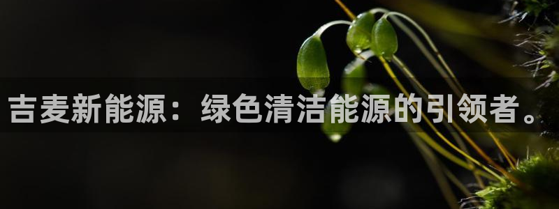 腾众娱乐的彩票靠谱吗：吉麦新能源：绿色清
