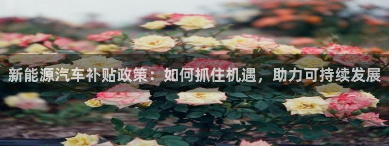 众腾娱乐开户：新能源汽车补贴政策：如何抓