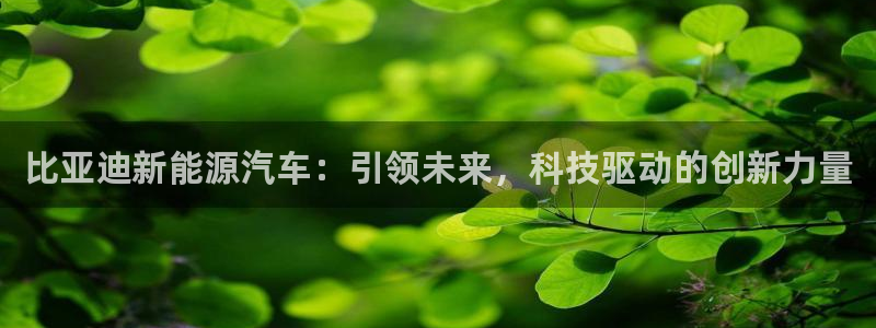 众腾娱乐总代理：比亚迪新能源汽车：引领未