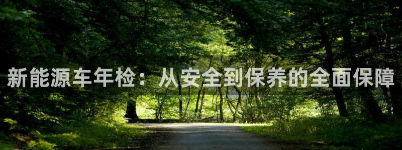 腾耀3娱乐众123：新能源车年检：从安全
