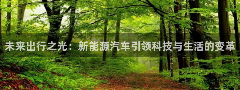 众腾娱乐发7O777：未来出行之光：新能