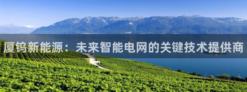 众腾娱乐平台群7O777：厦钨新能源：未