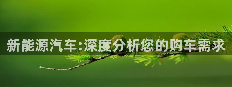 包头众腾娱乐：新能源汽车:深度分析您的购